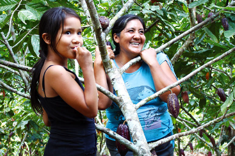 Two women standing on a tree in a small cocoa plantation.