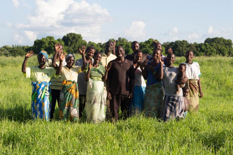 A group of people standing in a field, questioning the sustainability of agriculture.