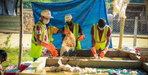 Waste workers