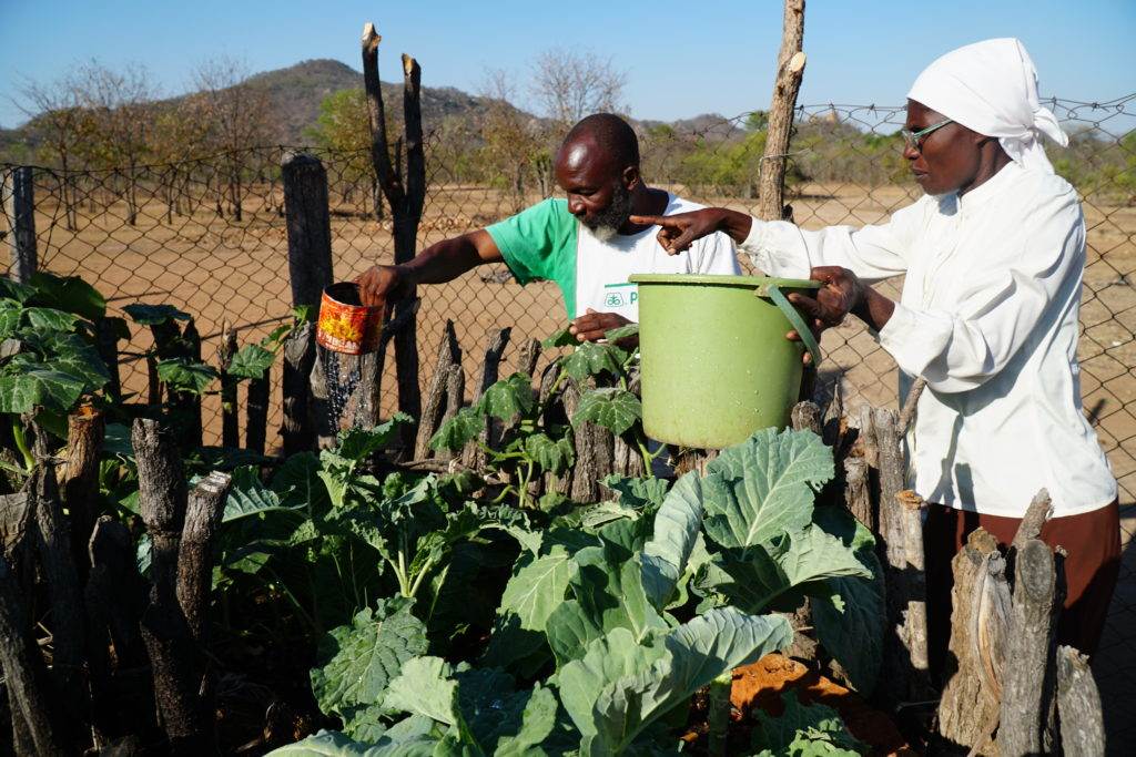Two farmers tending their crops