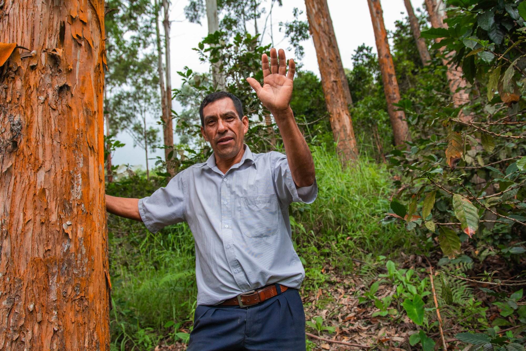 Melanio Saavedra on his coffee farm in Peru