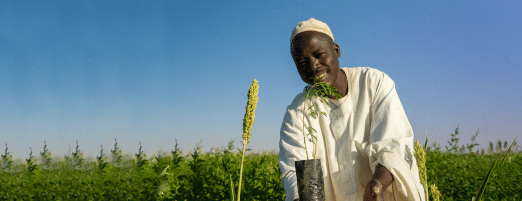 A man is standing in a field of wheat.