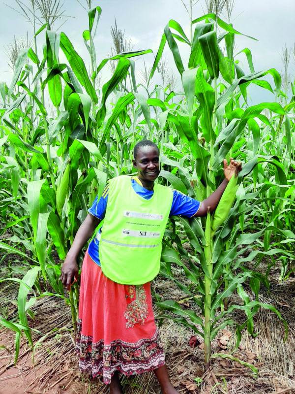 A woman working towards improving food security, amidst a corn field.