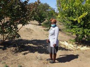 A woman using solar power to adapt to climate change stands next to an orange tree while wearing a face mask.