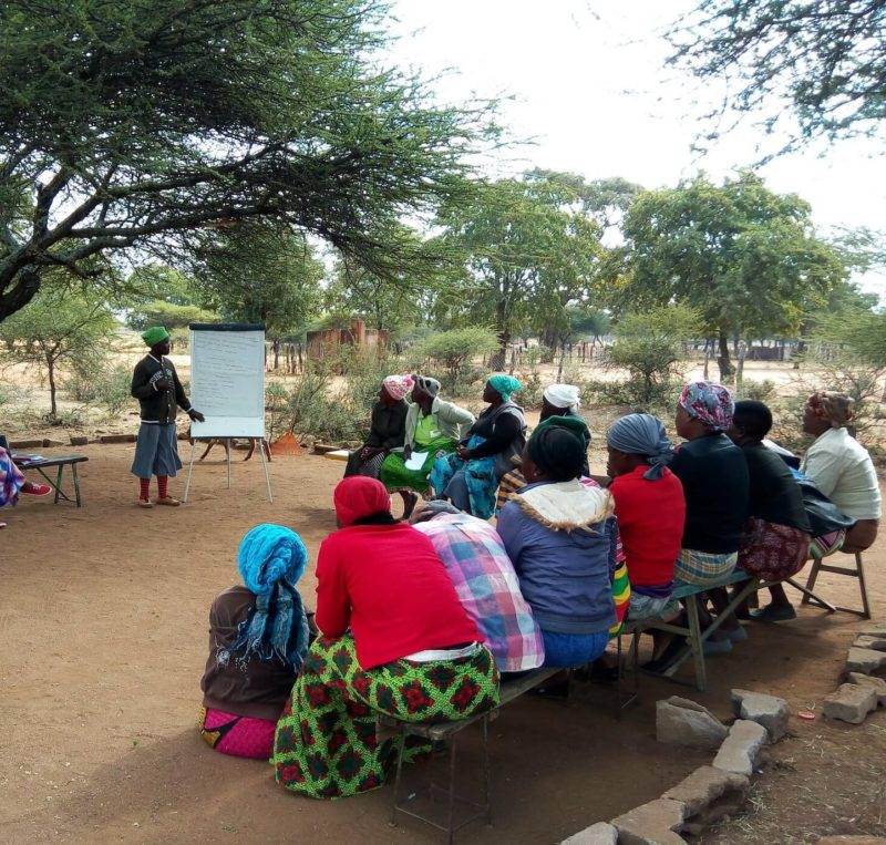 A group of people harnessing solar power under a tree to adapt to climate change.
