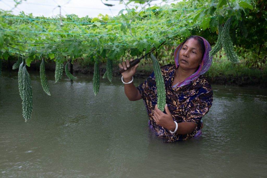 Purnima