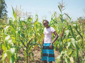 A woman standing in a corn field.