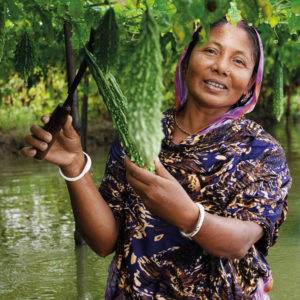 A woman in a sari cultivating cucumbers amidst the Climate Crisis.