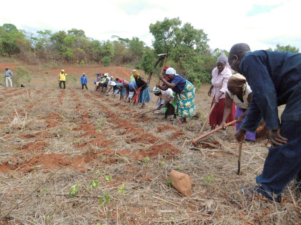 A team developing market systems for regenerative agriculture.