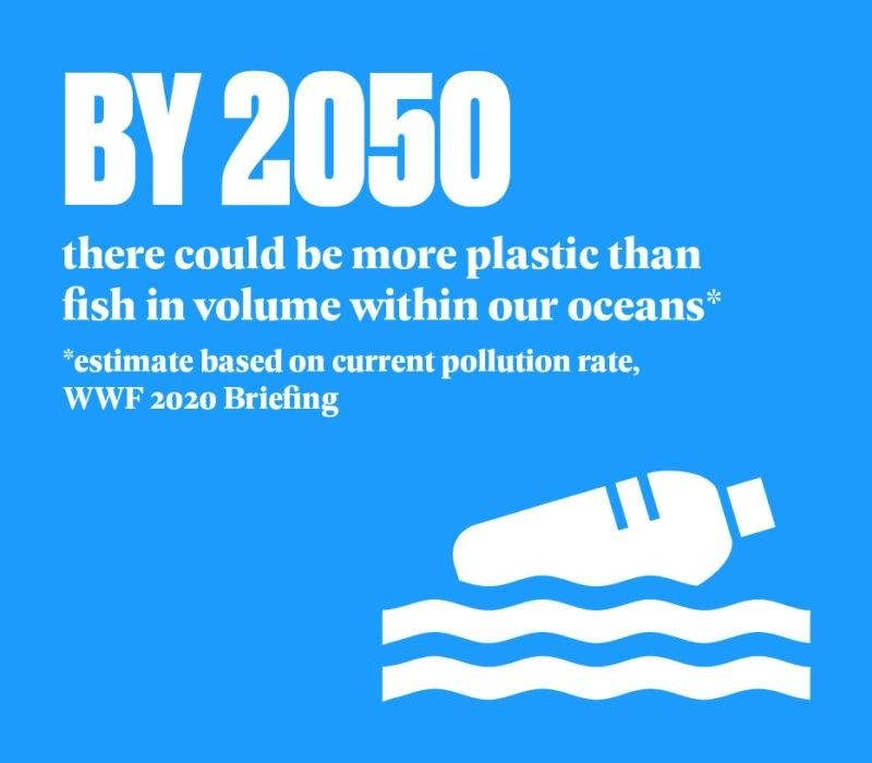 By 2050 there could be more plastic than fish in volume within our oceans - this is an estimate based on current pollution rate from the WWF 2020 Briefing
