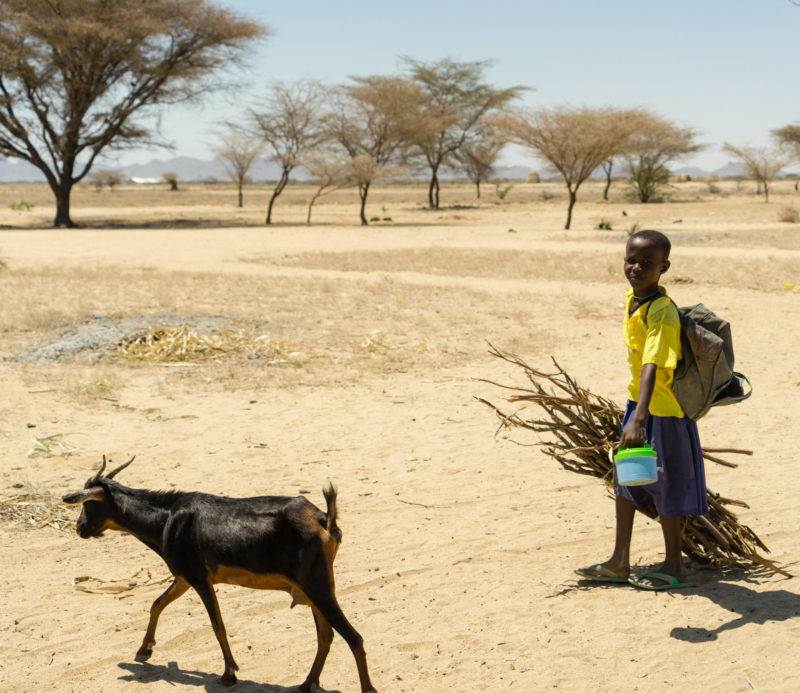 A boy walking with a goat to provide water for Turkana.