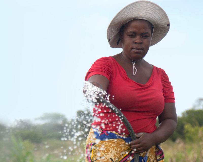 A woman conserving water by spraying from a hose in a field where water is scarce.