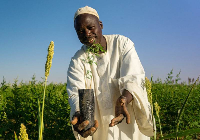 A man holding a plant in a field demonstrates how to make every drop count where water is scarce.