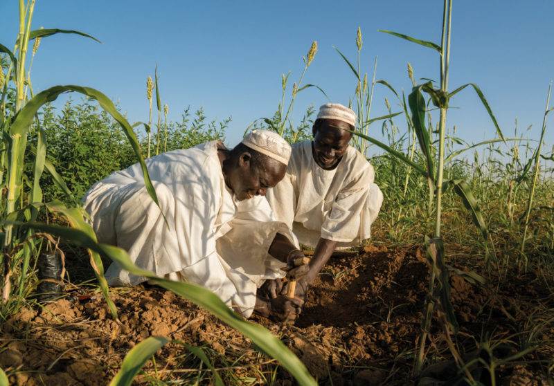 Two men utilizing water conservation techniques while planting corn in a field where water is scarce.