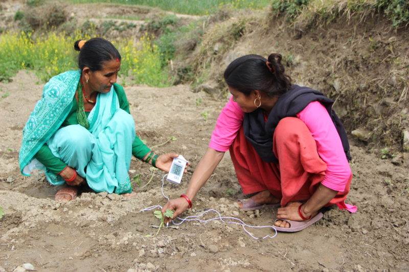 Two Nepalese women testing the soil for moisture with an electronic device