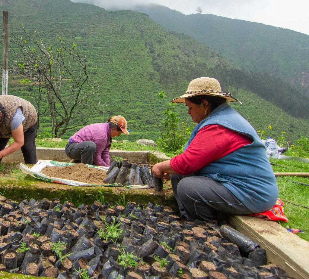 A group of women cultivating a garden in front of a background of lush mountains