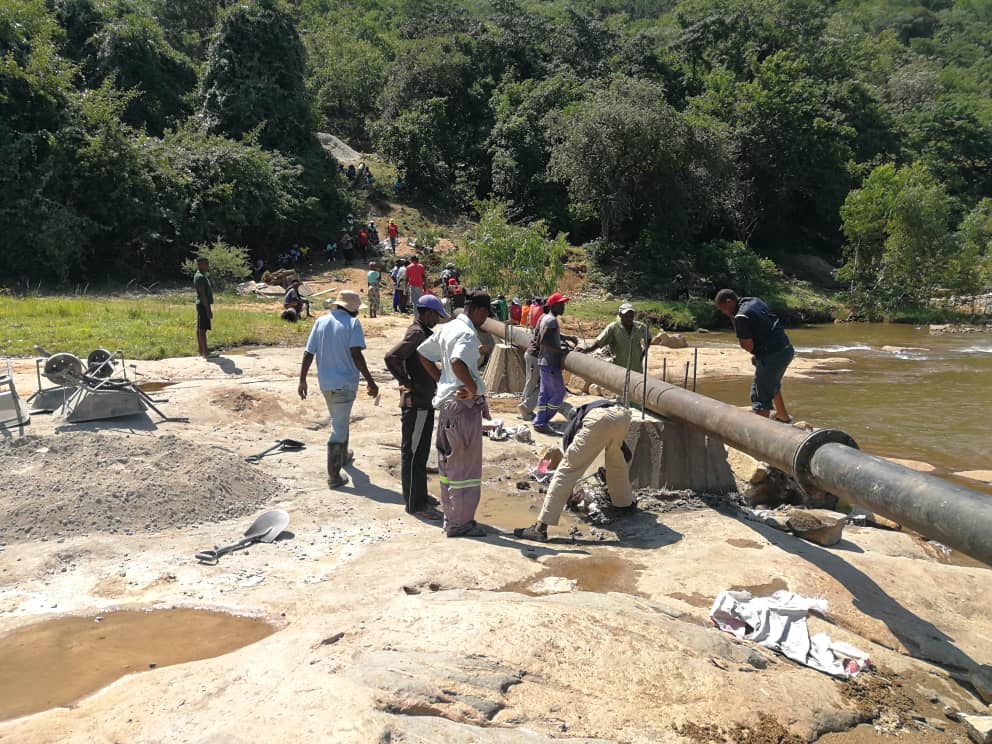 A group of resilient people harvest near a river in Chimanimani.