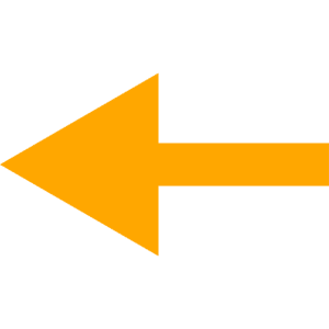 An orange arrow on a white background for field visit itineraries.