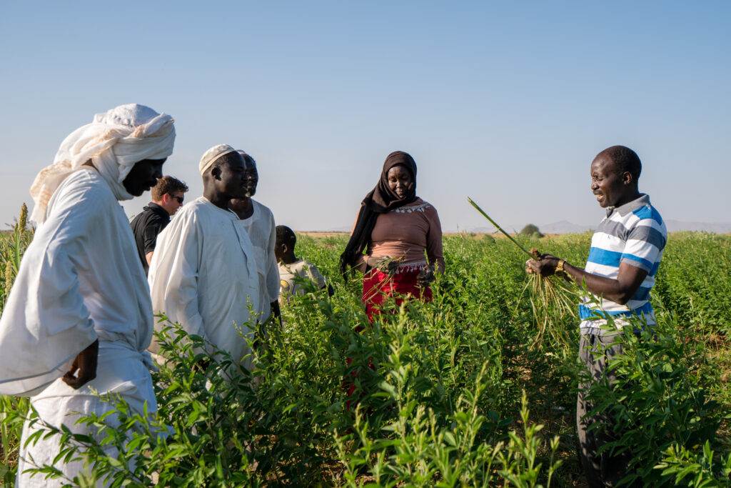 A group of individuals practicing regenerative agriculture in a field.