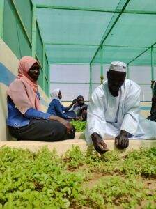 Community members in Garni, Darfur, come together in their new nursery