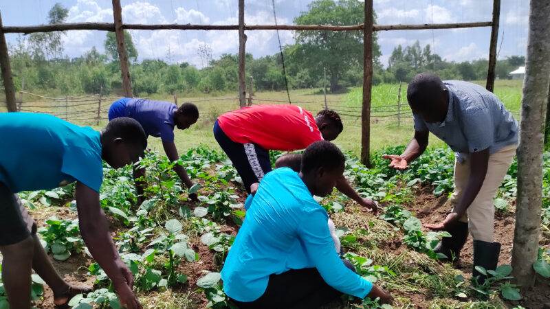 A group of young, rural Kenyans engaging in a new farming project to change lives.