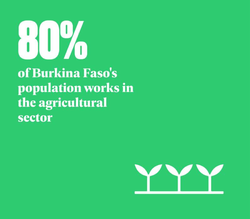 Seeding transformation in Burkina Faso by empowering its agricultural sector.