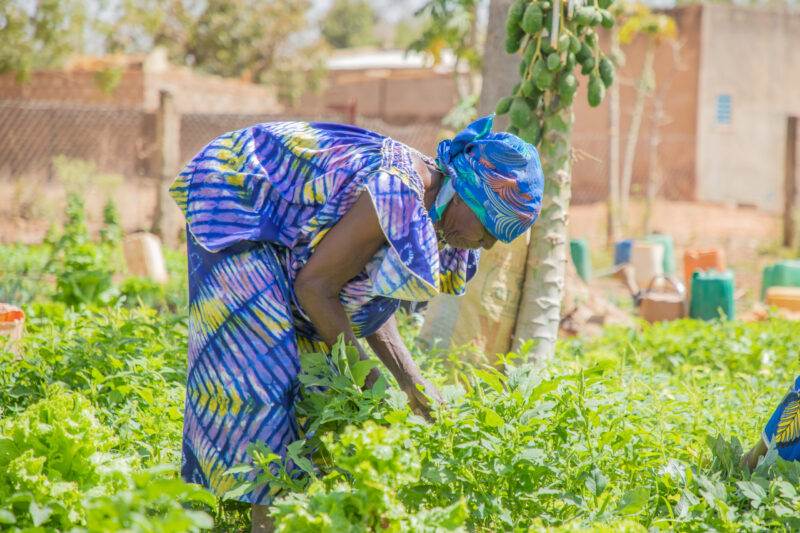Two women in Burkina Faso seeding vegetables in a garden for transformation.