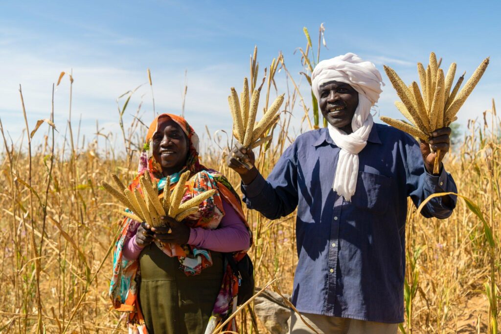 Two people standing in a field of wheat.