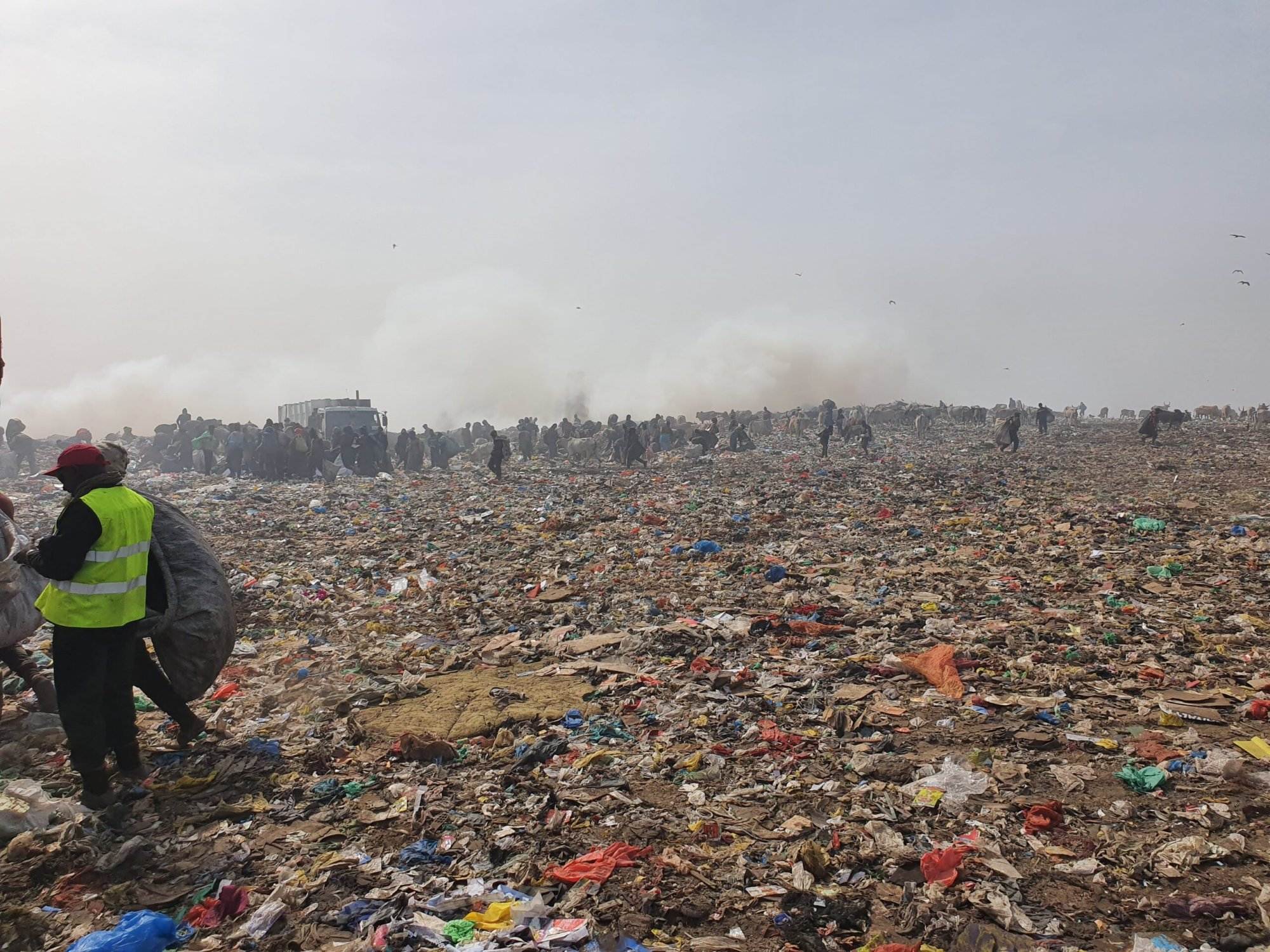 Our charity work in Senegal