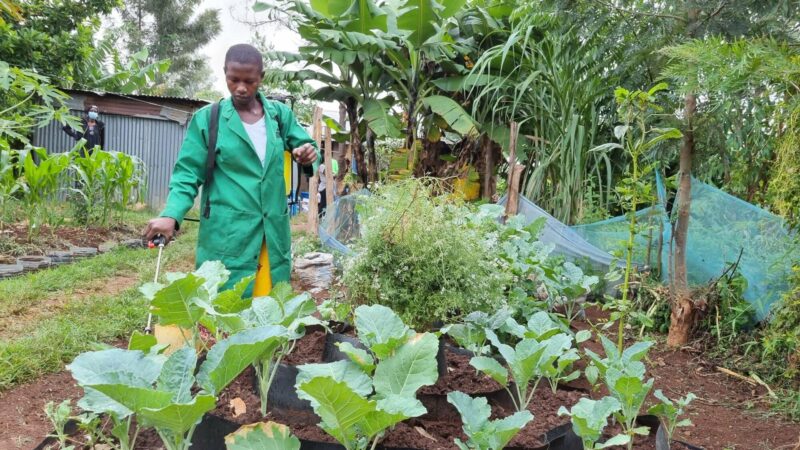 A woman in a green coat is participating in Practical Action by planting vegetables in a garden during Africa Climate Week 2023.