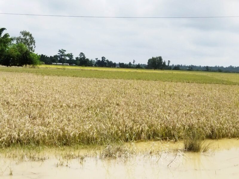 https://practicalaction.org/wp-content/uploads/2023/09/floods-in-lower-karnali-in-Nepal-caused-by-climate-change-800x600.jpg