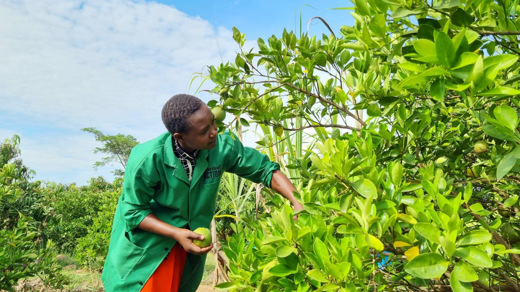 A woman in a green coat passionately picking oranges in an orchard, embodying the spirit of "Hope Can't Wait".