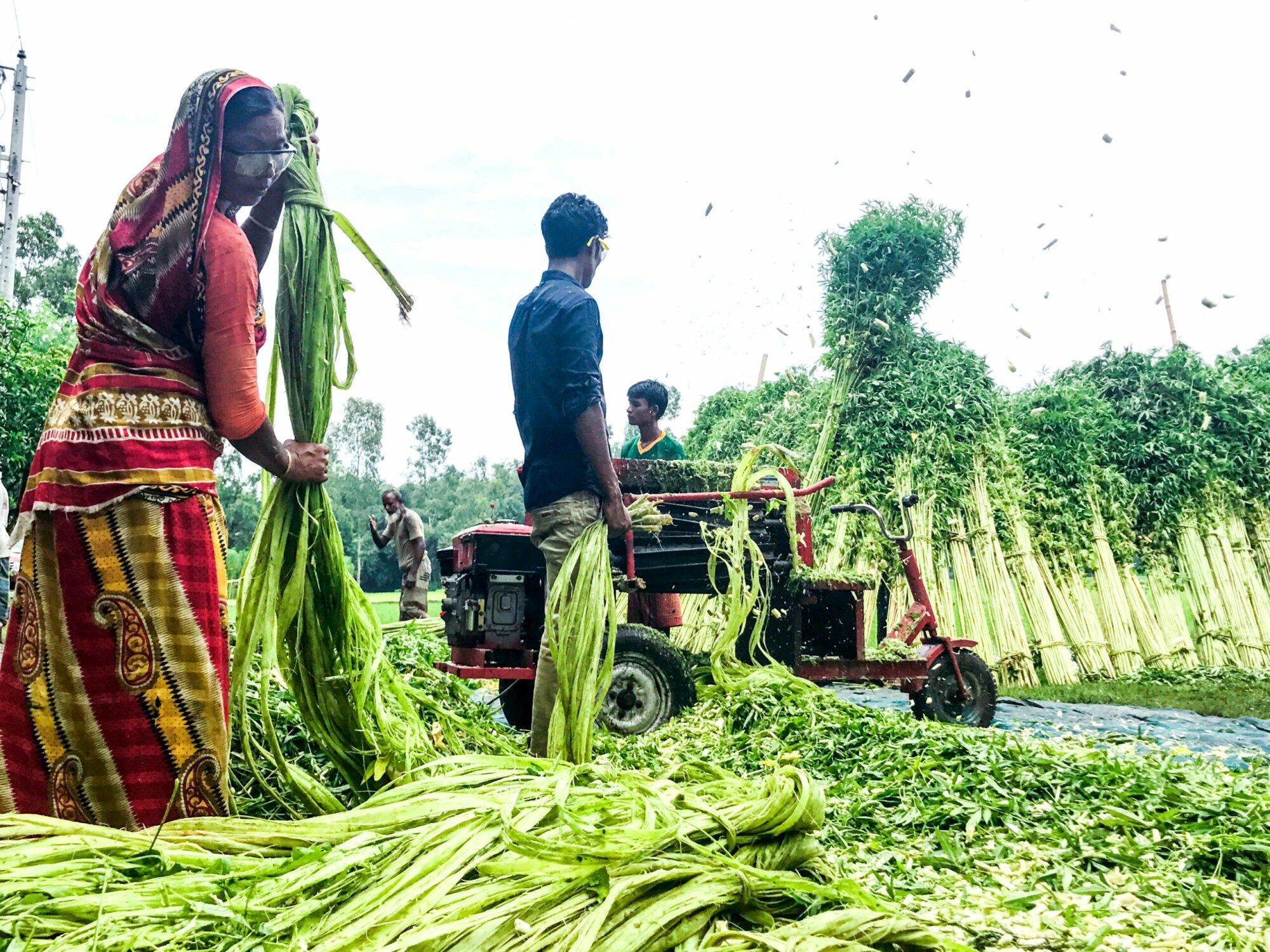 A group of people working in a field with a tractor as part of Practical Action in Bangladesh.