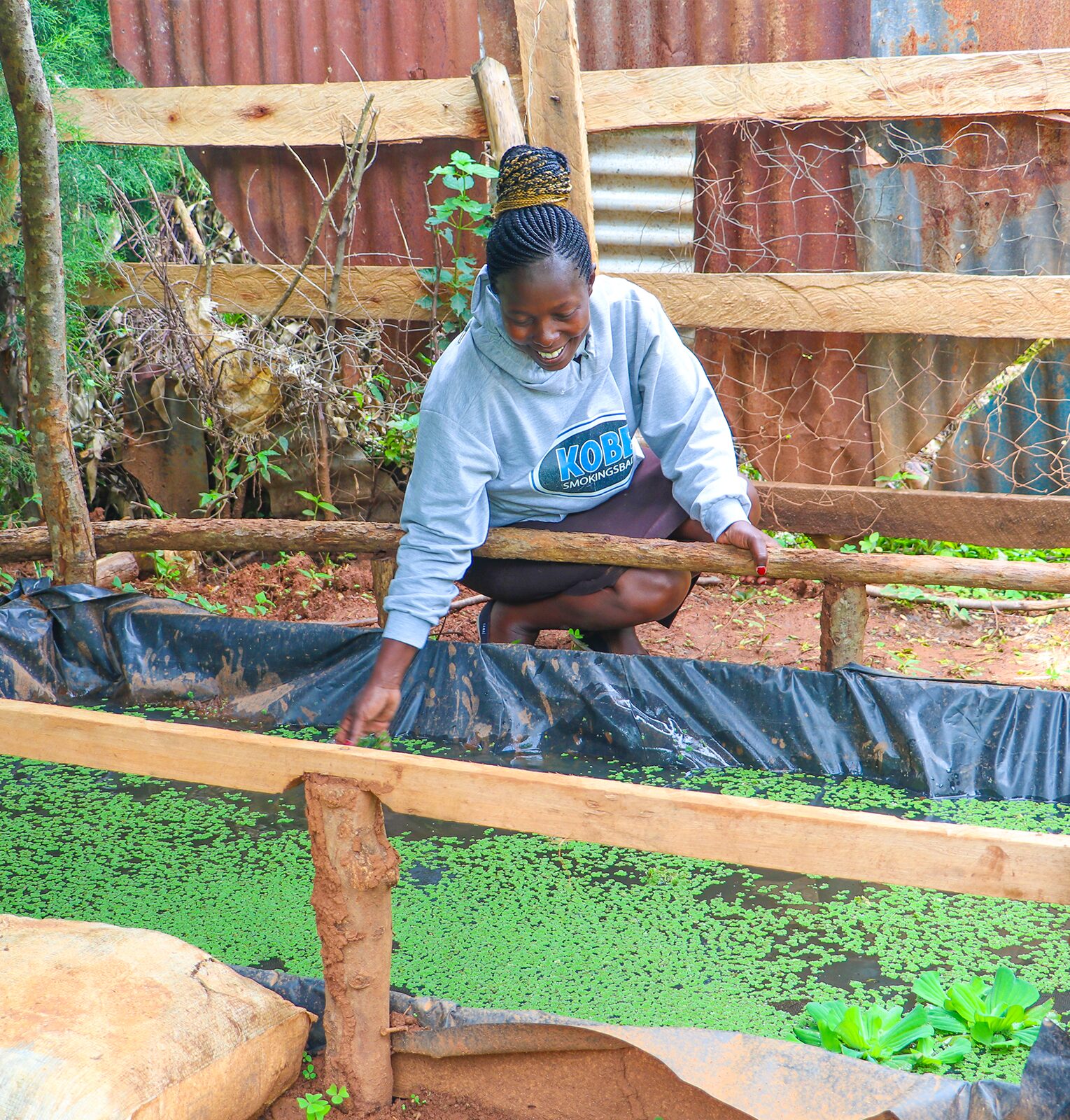 A woman in a hoodie tends to a small outdoor pond covered with green aquatic plants, inside a fenced wooden enclosure.