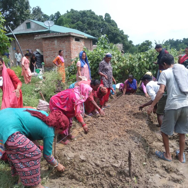 A group of people working to help Nepal combat climate change.