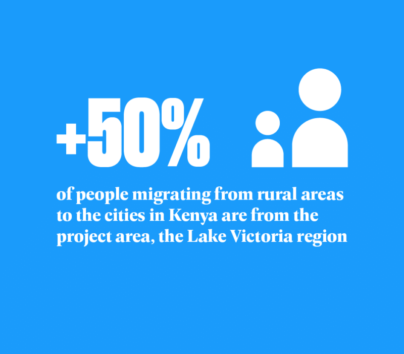 50 % of people migrating from rural areas to cities in Kenya are from the Lake Victoria region, contributing to the transformation of agriculture for young people.