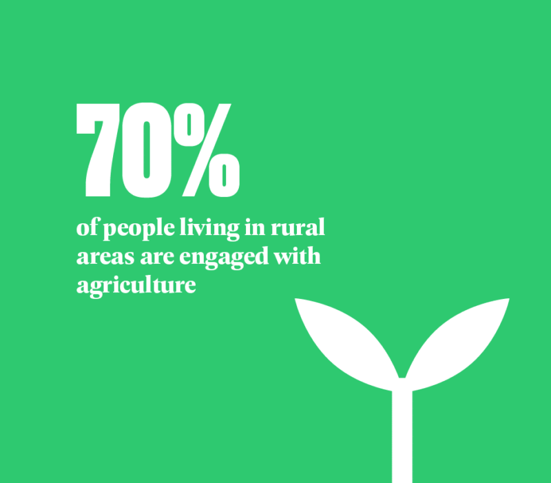 Transforming agriculture for young people in rural areas, where 70 percent of the population is engaged with agriculture.