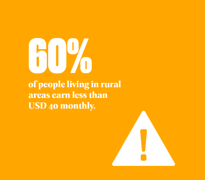 Transforming Agriculture for Young People: In rural areas, approximately 60% of individuals earn less than USD - month.
