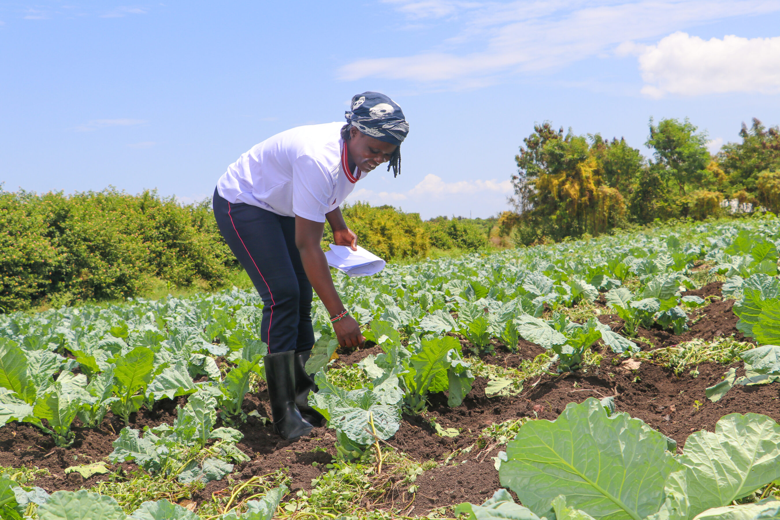 Sharon Okoth examines her crops under a clear blue sky