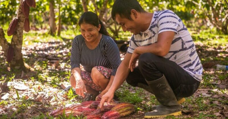 Practical Action presenting at 3 events in Latin America in October.