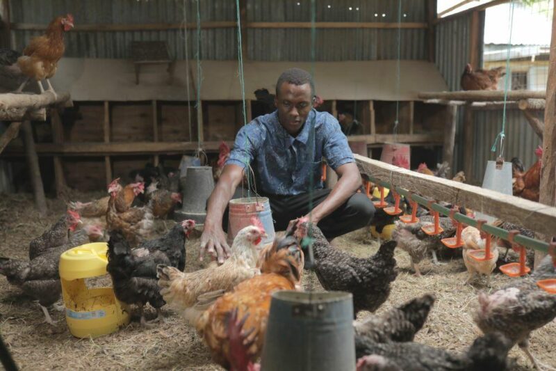 Emmanuel Ragot tending his chickens in Kenya