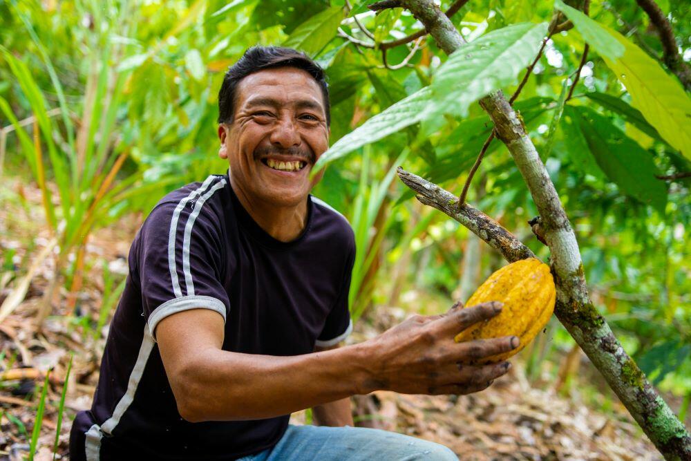 A Practical Action volunteer in Peru smiling while picking a cocoa pod.