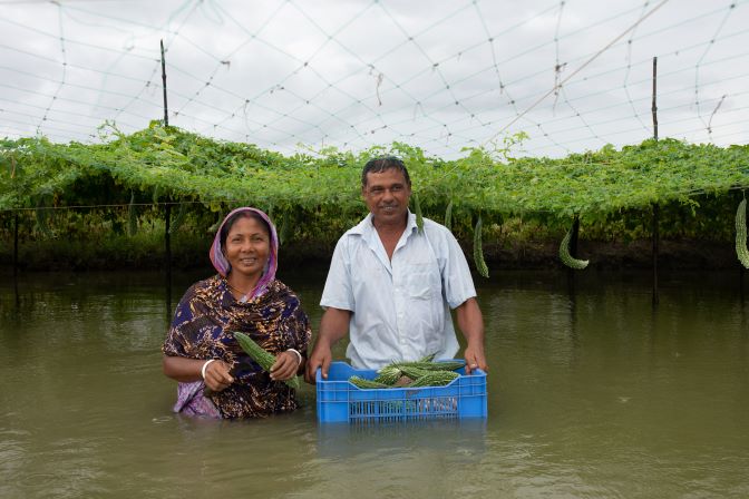 Bangladeshi farmers standing in a pond with a crate of cucumbers, determined to rebuild hope despite floods.