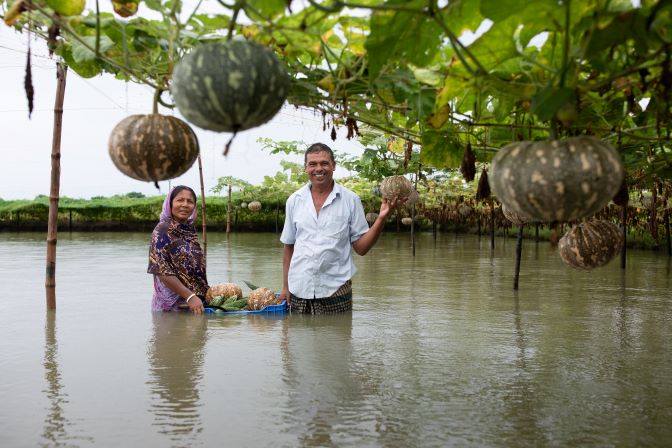 Two Bangladeshi farmers standing in a pond with watermelons hanging from the trees, filled with hope despite floods.