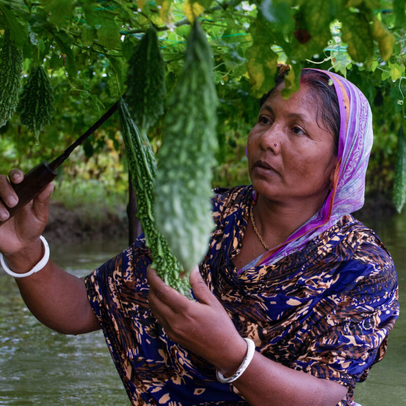 A woman is holding a bunch of cucumbers in her hand with hope.