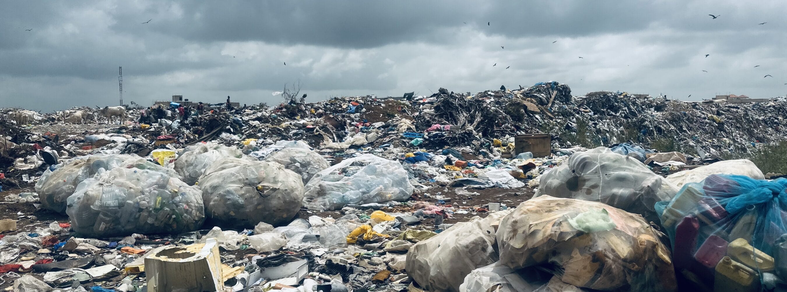 A large pile of garbage with birds flying over it.