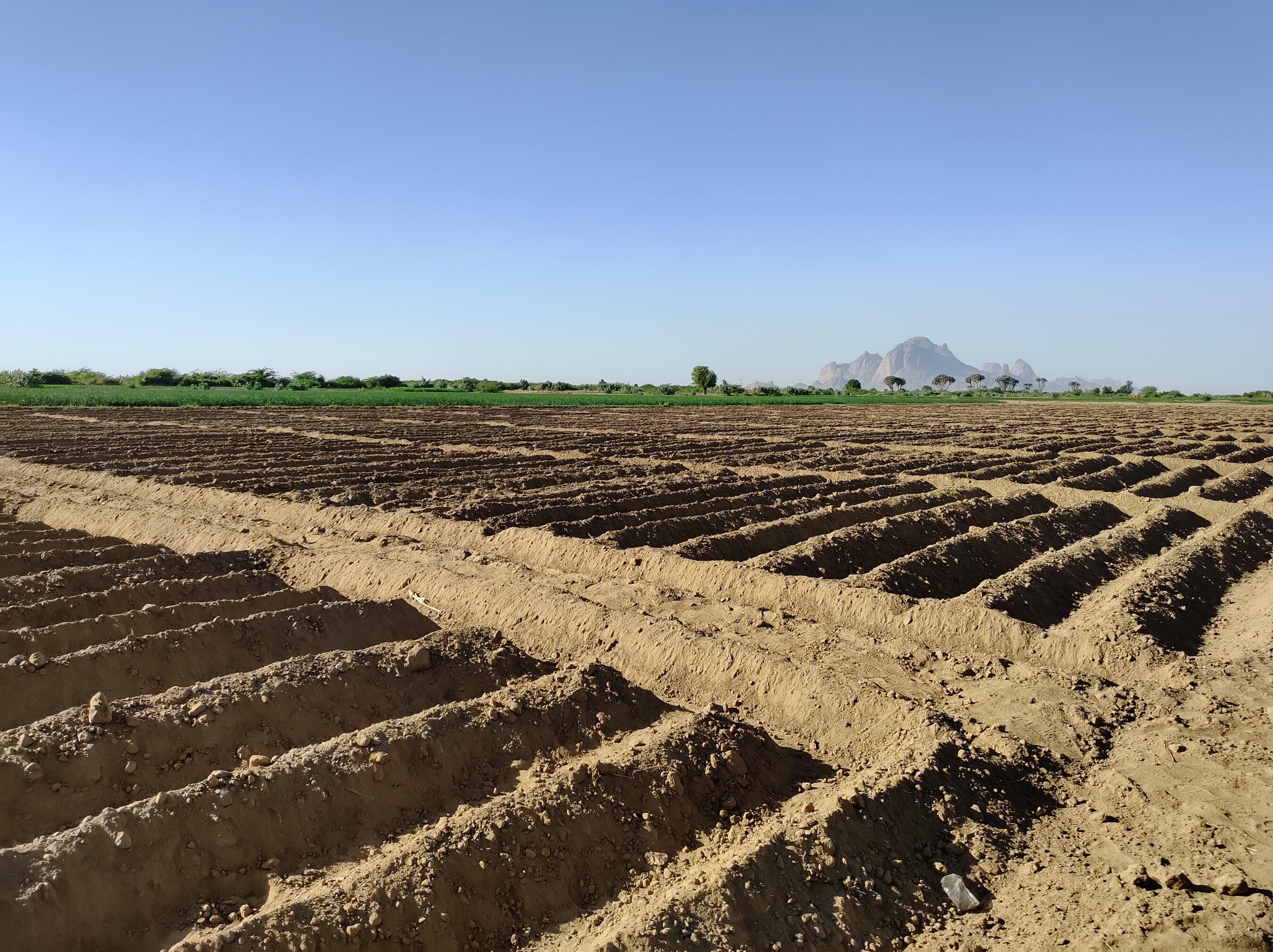 A plowed field with parallel furrows under a clear sky, with a distant mountain range on the horizon. Sparse greenery is visible beyond the field.