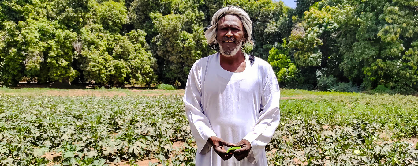 An elderly man in white traditional attire holds leaves in his hands, standing in a lush, green field under a sunny sky.