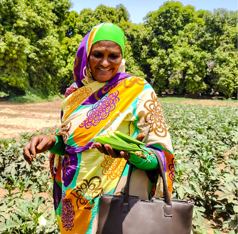 A smiling woman in a colorful sari holding a purse, standing in a lush field with greenery in the background.