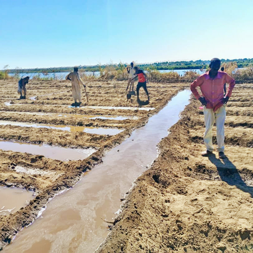 Four people working in a muddy, irrigated field under a clear sky, with some standing in water and one person posing in the foreground.